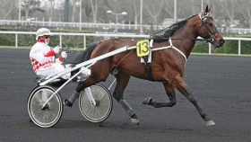 Mondiale ok - Mediahorsesrace.com