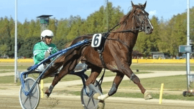 Oropuro bar - Mediahorsesrace.com