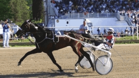 Pace del rio - Mediahorsesrace.com