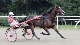 Owen cr - Mediahorsesrace.com
