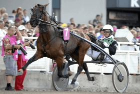 Pascia' lest - Mediahorsesrace.com