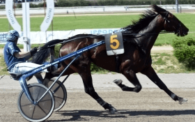 Rotary ok - Mediahorsesrace.com