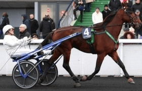 Tesoro degli dei - Mediahorsesrace.com