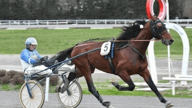 Santiago d'ete - Mediahorsesrace.com