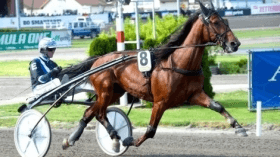Twister bi - Mediahorsesrace.com