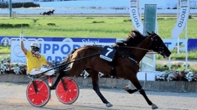 Vitruvio - Mediahorsesrace.com