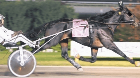 Yankee slide - Mediahorsesrace.com
