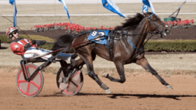 Wishing stone - Mediahorsesrace.com