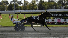 ZACON GIO - Mediahorsesrace.com