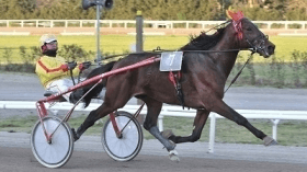 Superbo capar - Mediahorsesrace.com