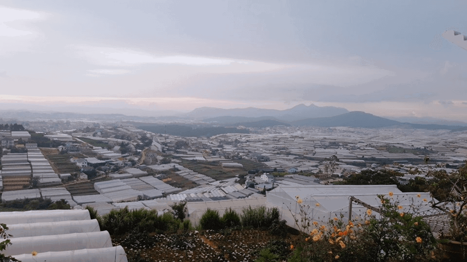 Quan-cafe-view-thung-lung-da-lat-9