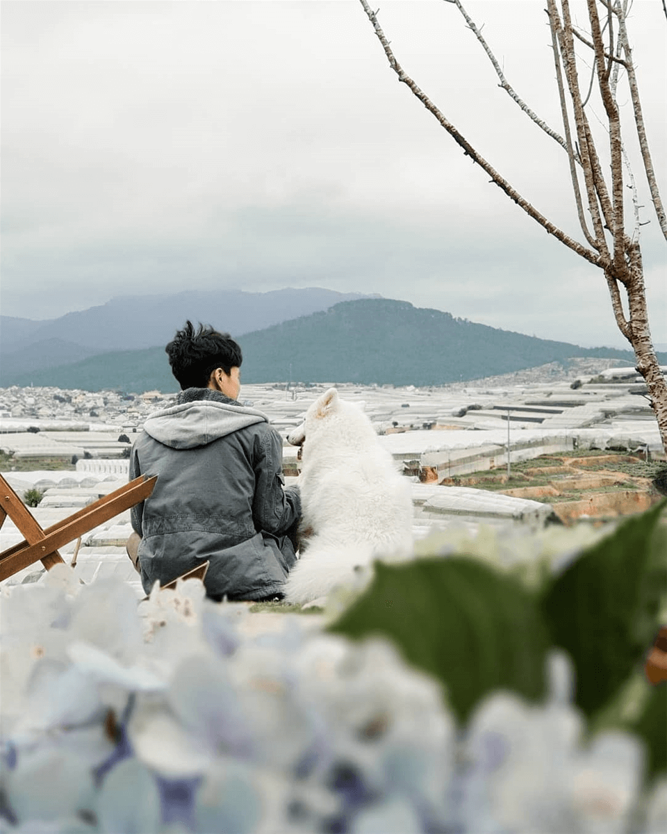 Quan-cafe-ngam-da-lat-ve-dem-14