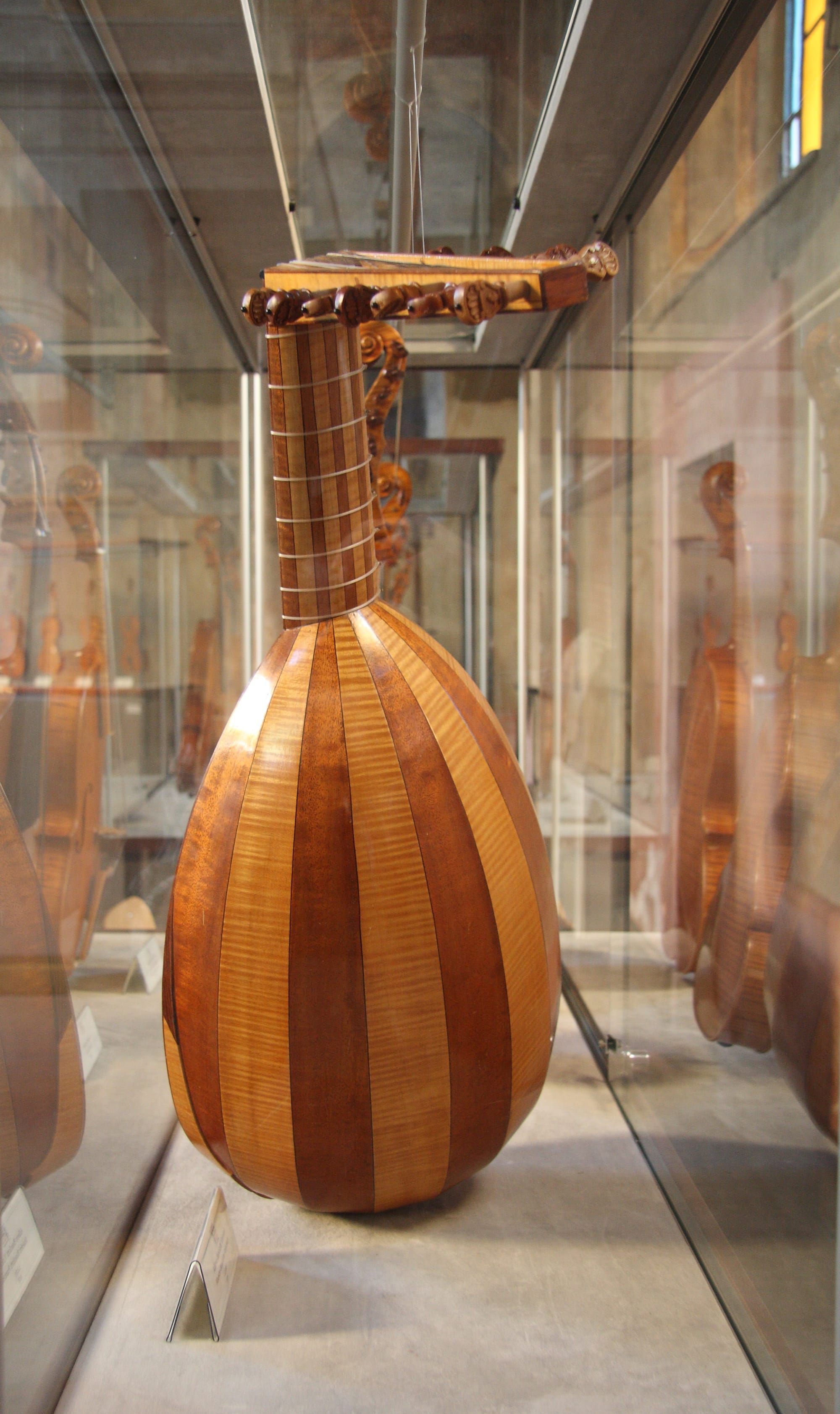 CONSTRUCTION OF PLUCKED INSTRUMENTS - Scuola Internazionale di Liuteria