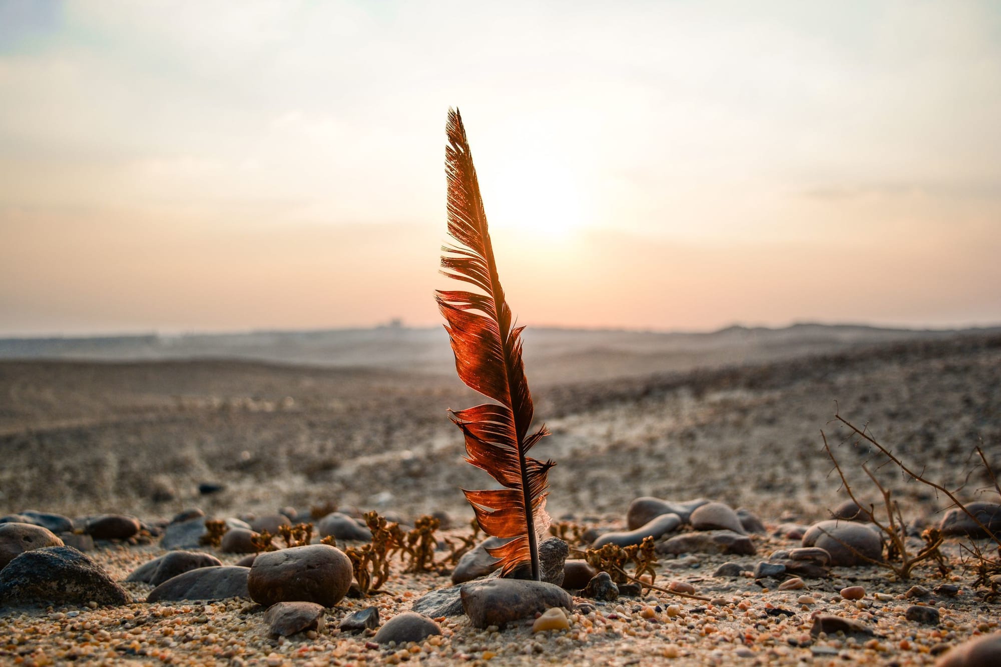 Petrified Forest Egypt Relax. Discover. Enjoy
