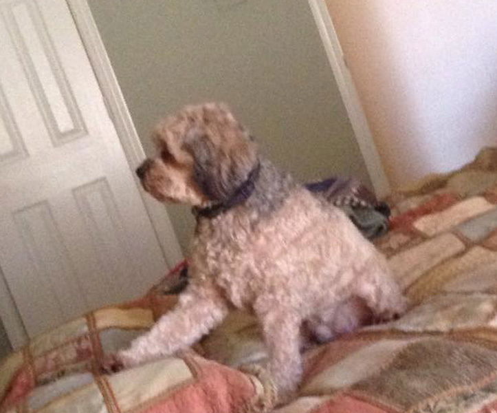 Great Florida Tax Service