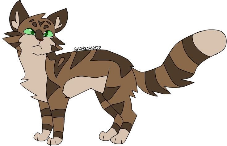 Welcome To The Official Heatherpawz Website - roblox warrior cats morph ideas