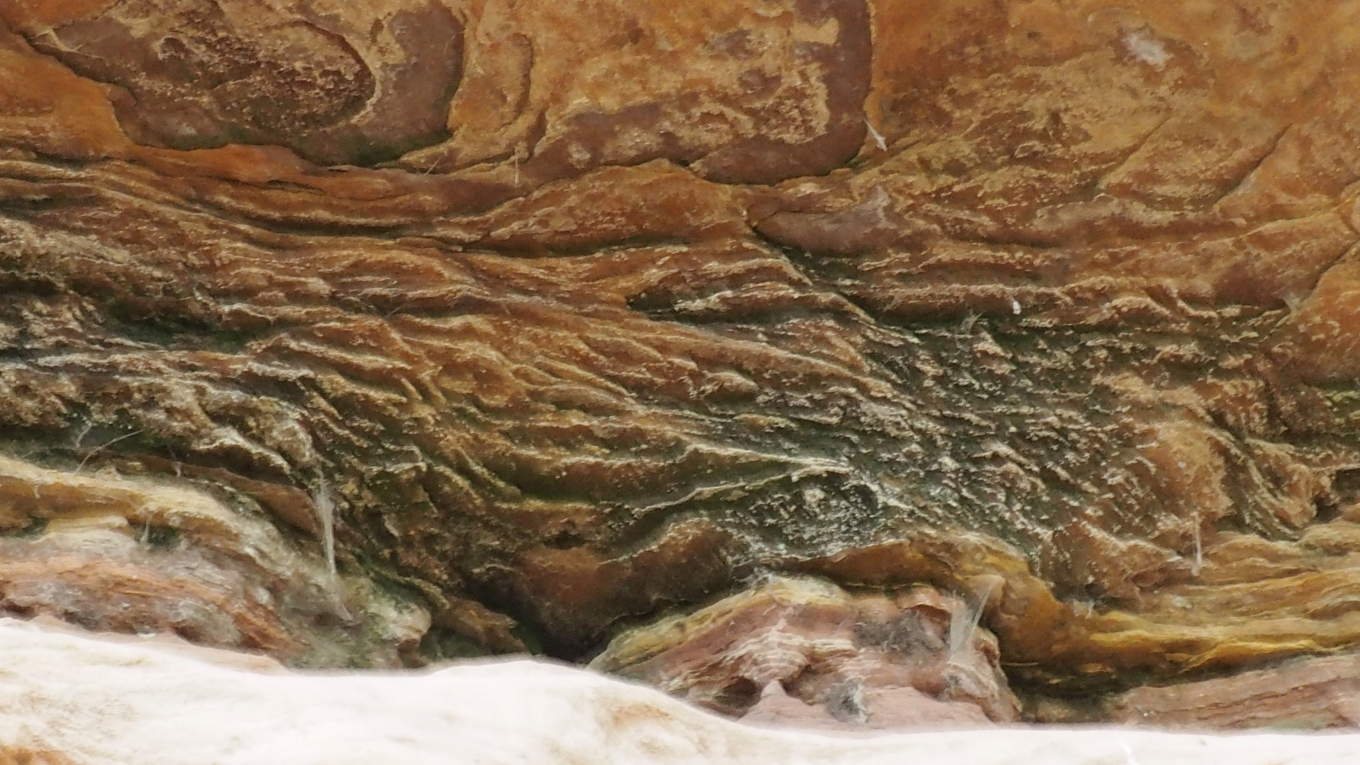 Pink sandstone from Alsace