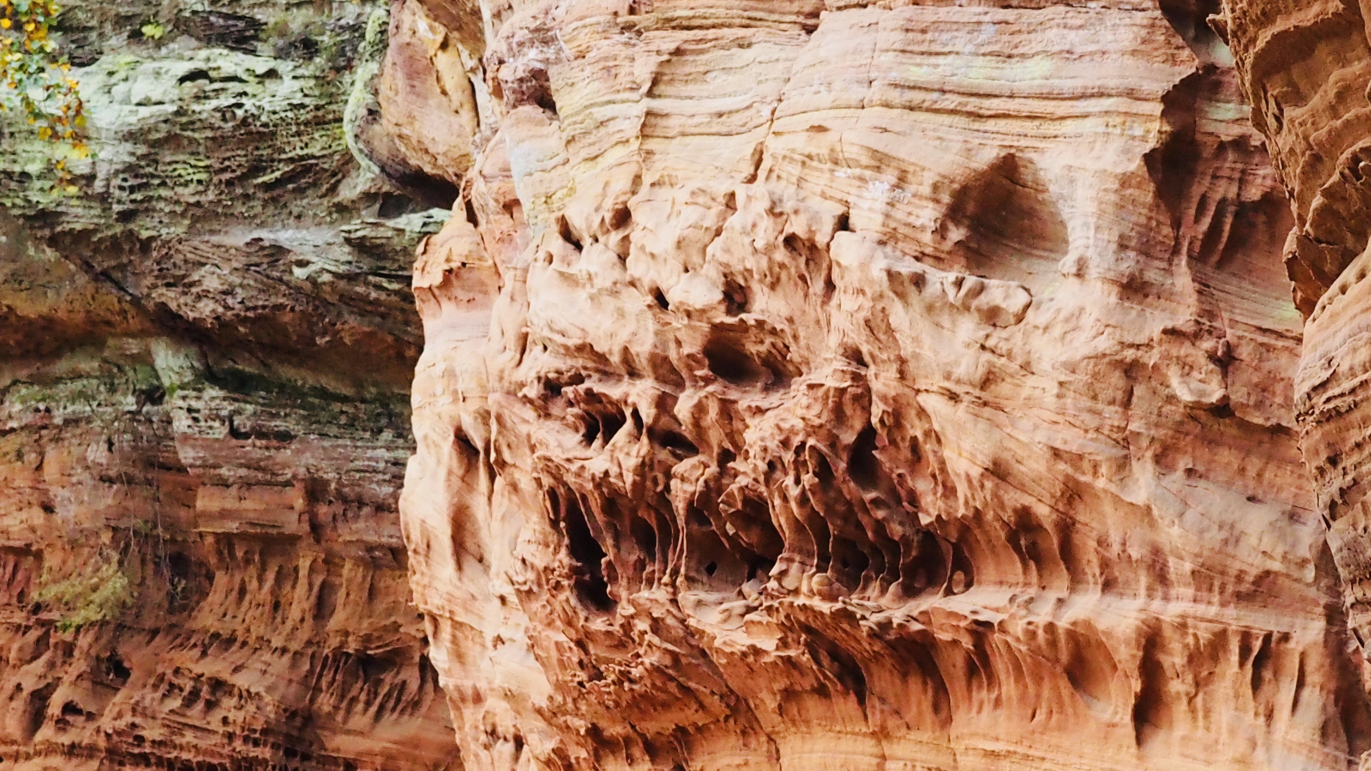 Pink sandstone from Alsace