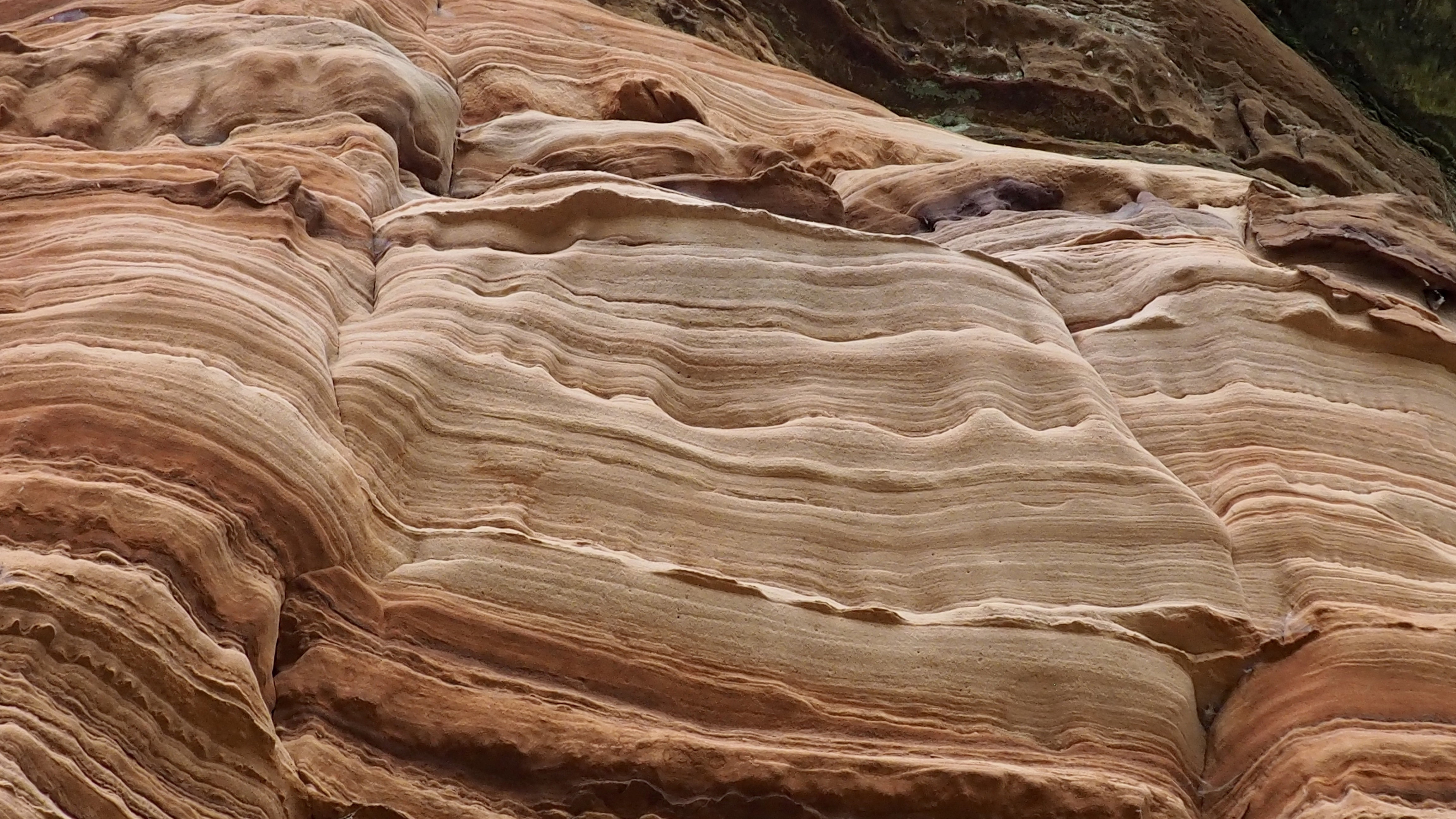 Pink sandstone from Alsace