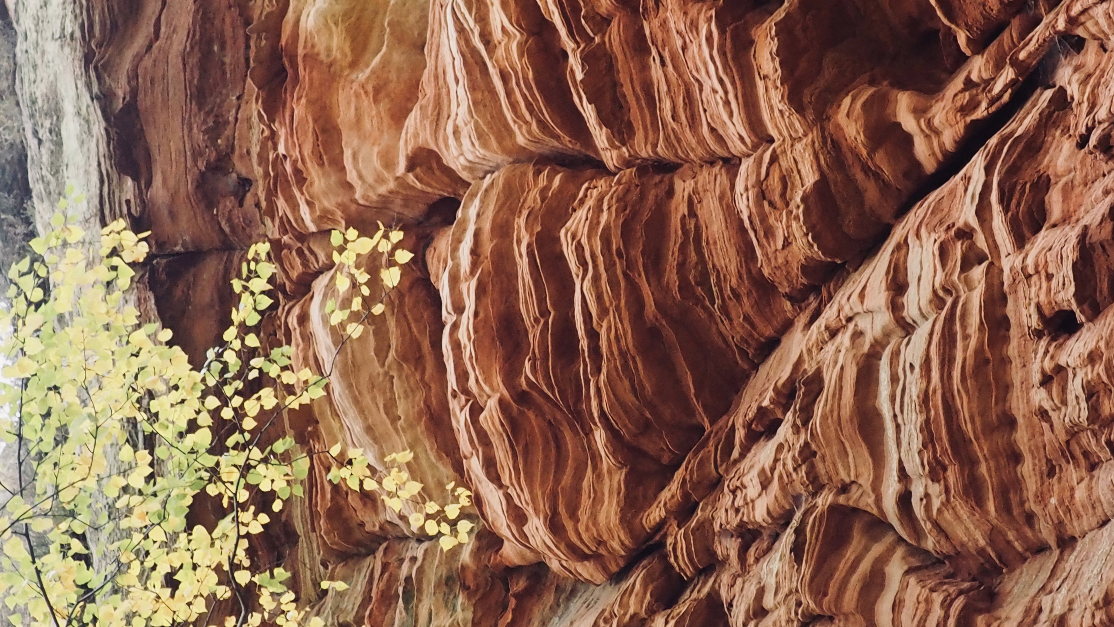 Pink sandstone from Alsace