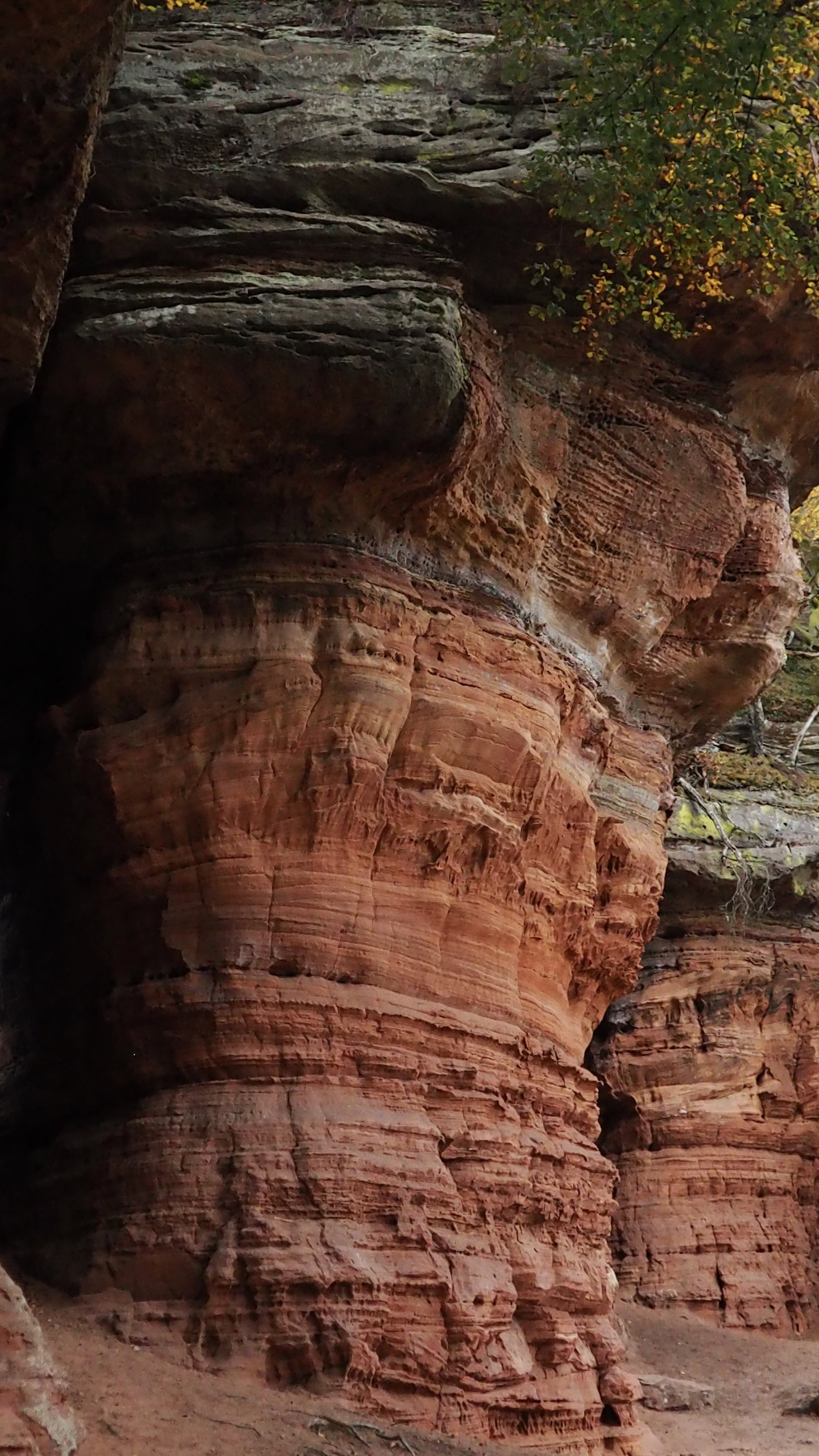 Pink sandstone from Alsace