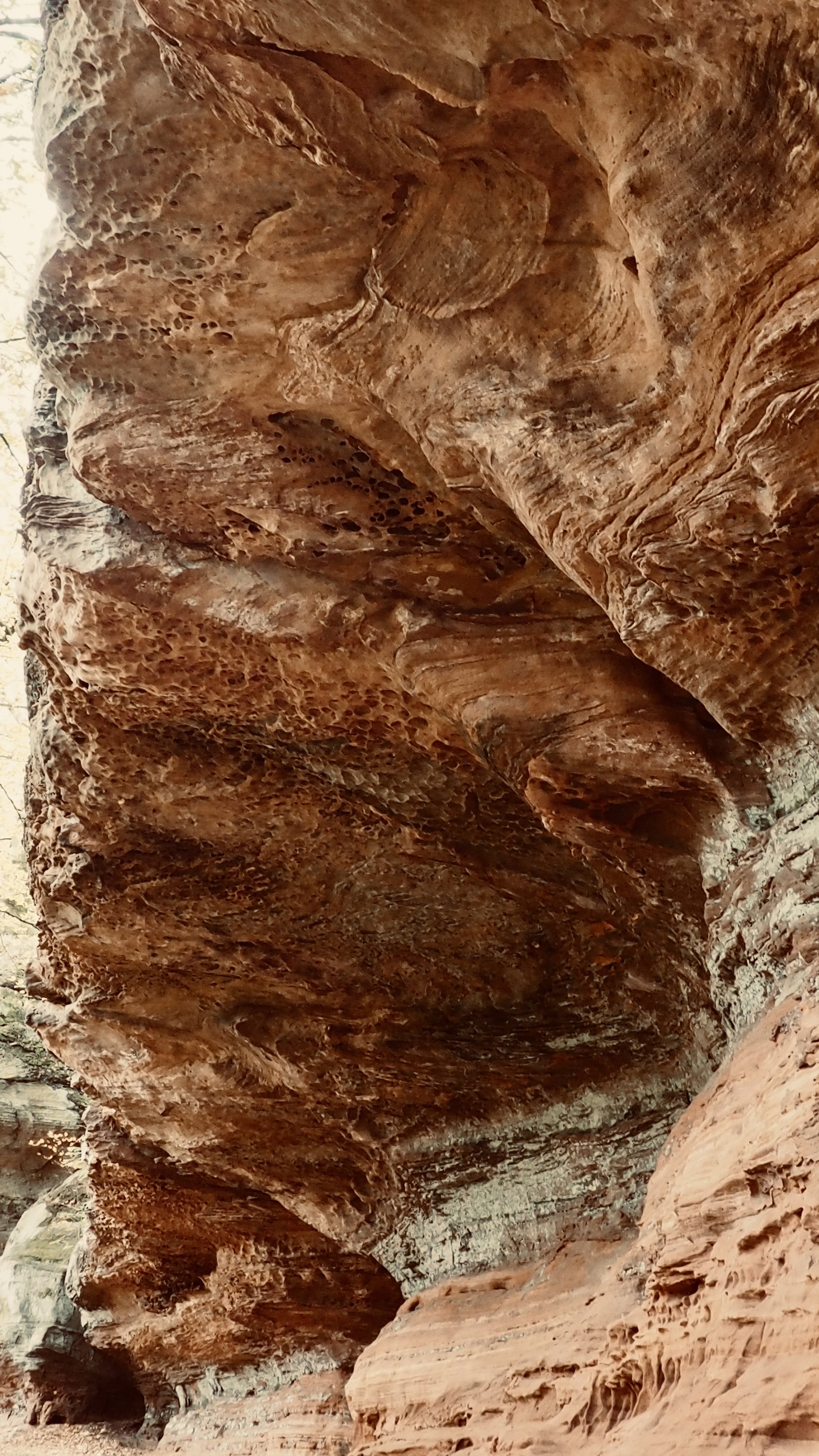 Pink sandstone from Alsace