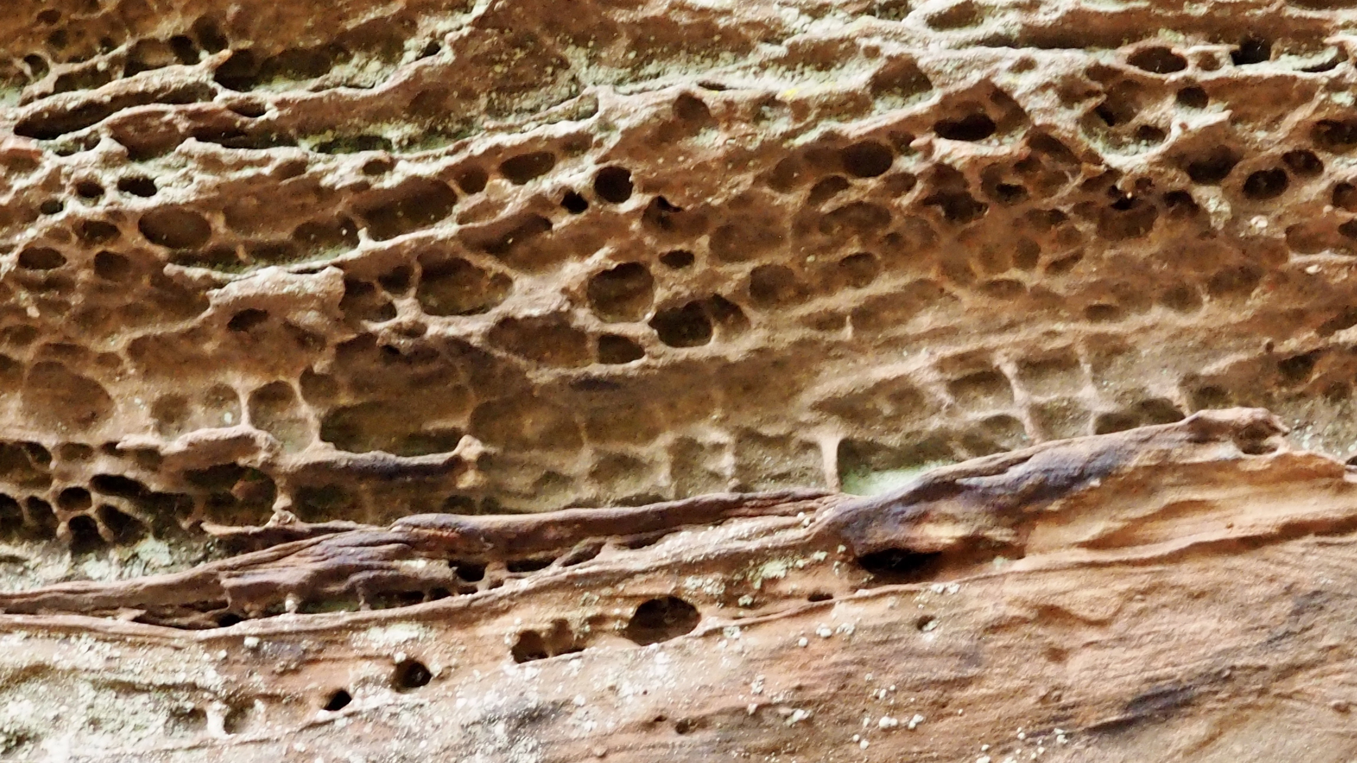 Pink sandstone from Alsace
