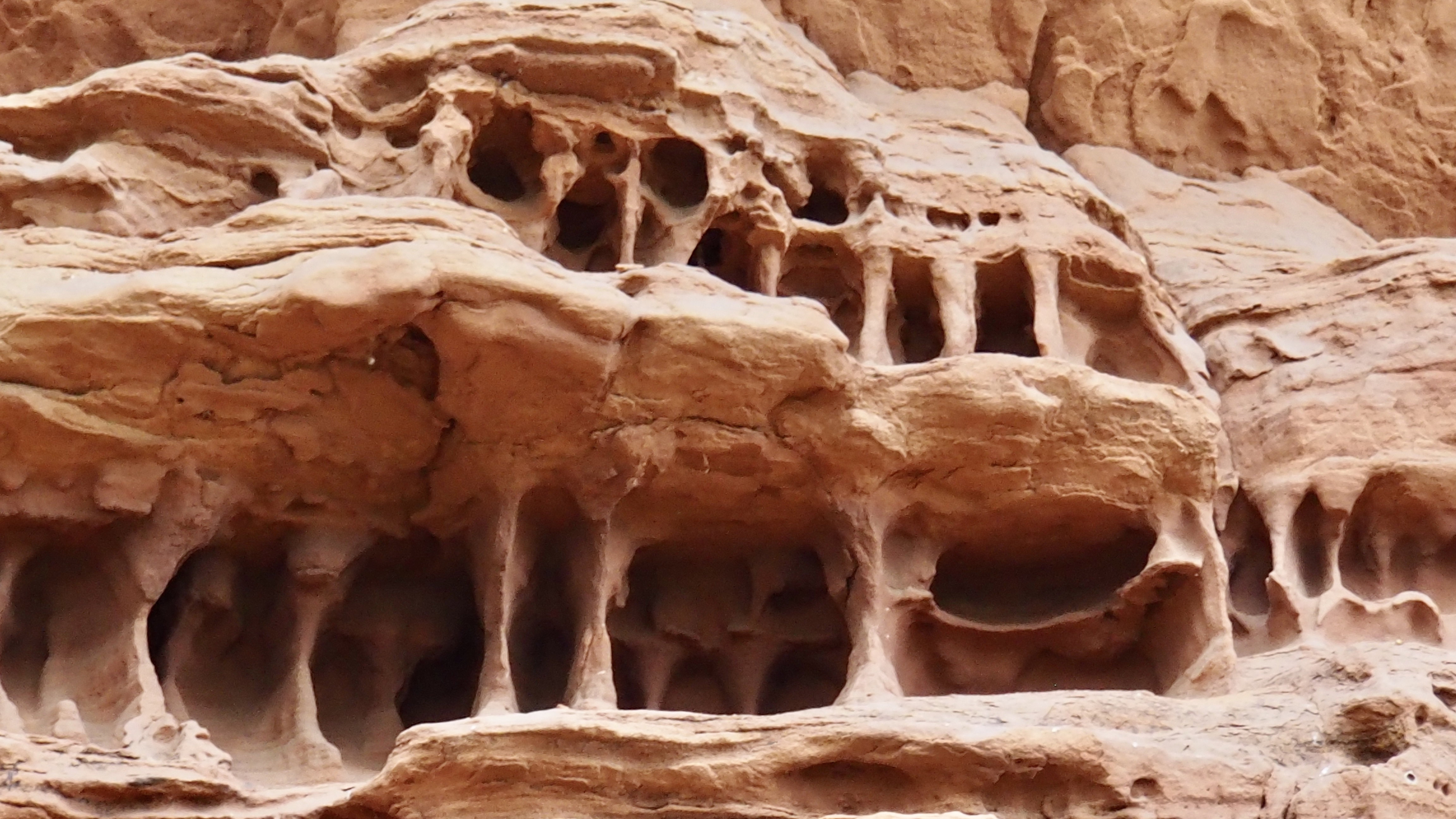 Pink sandstone from Alsace