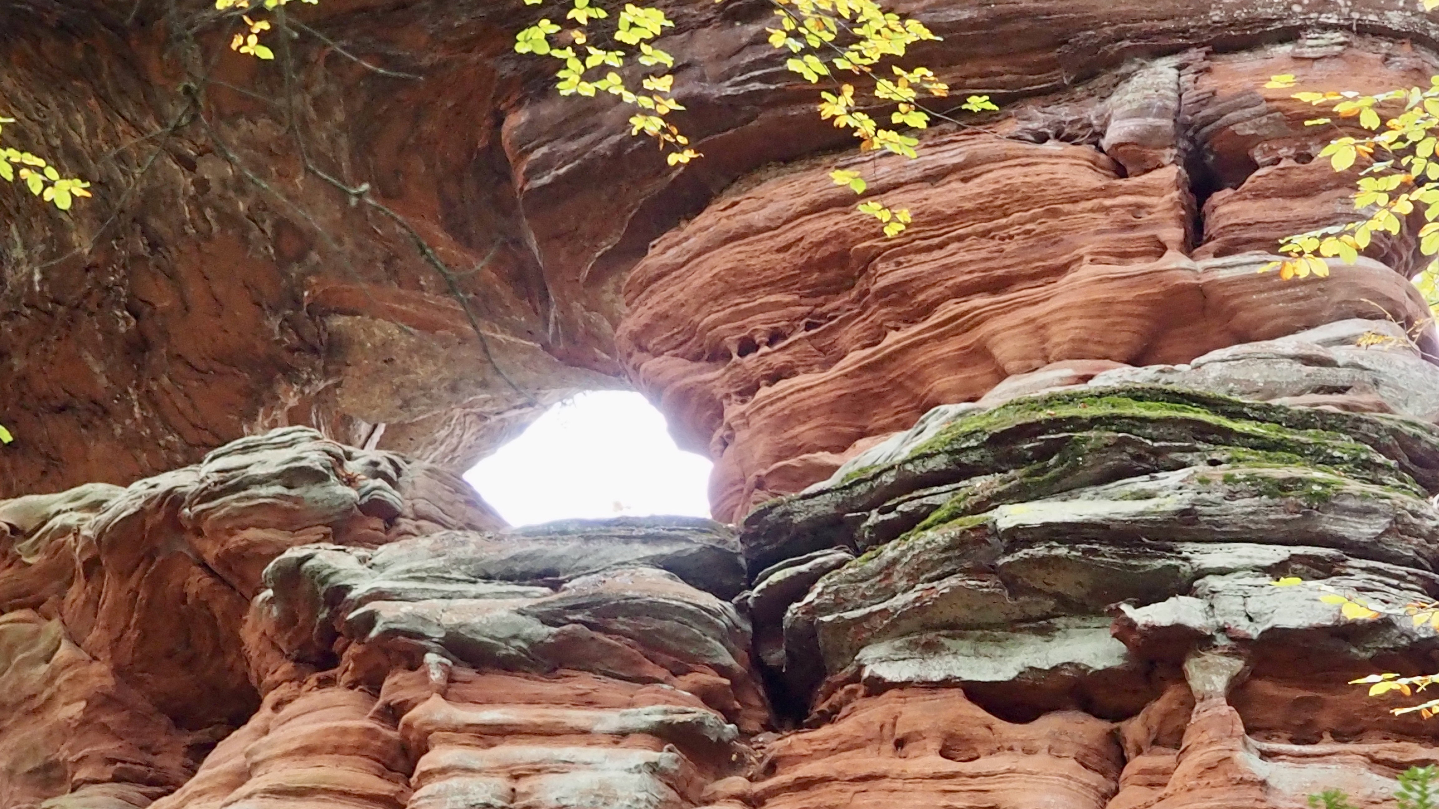 Pink sandstone from Alsace
