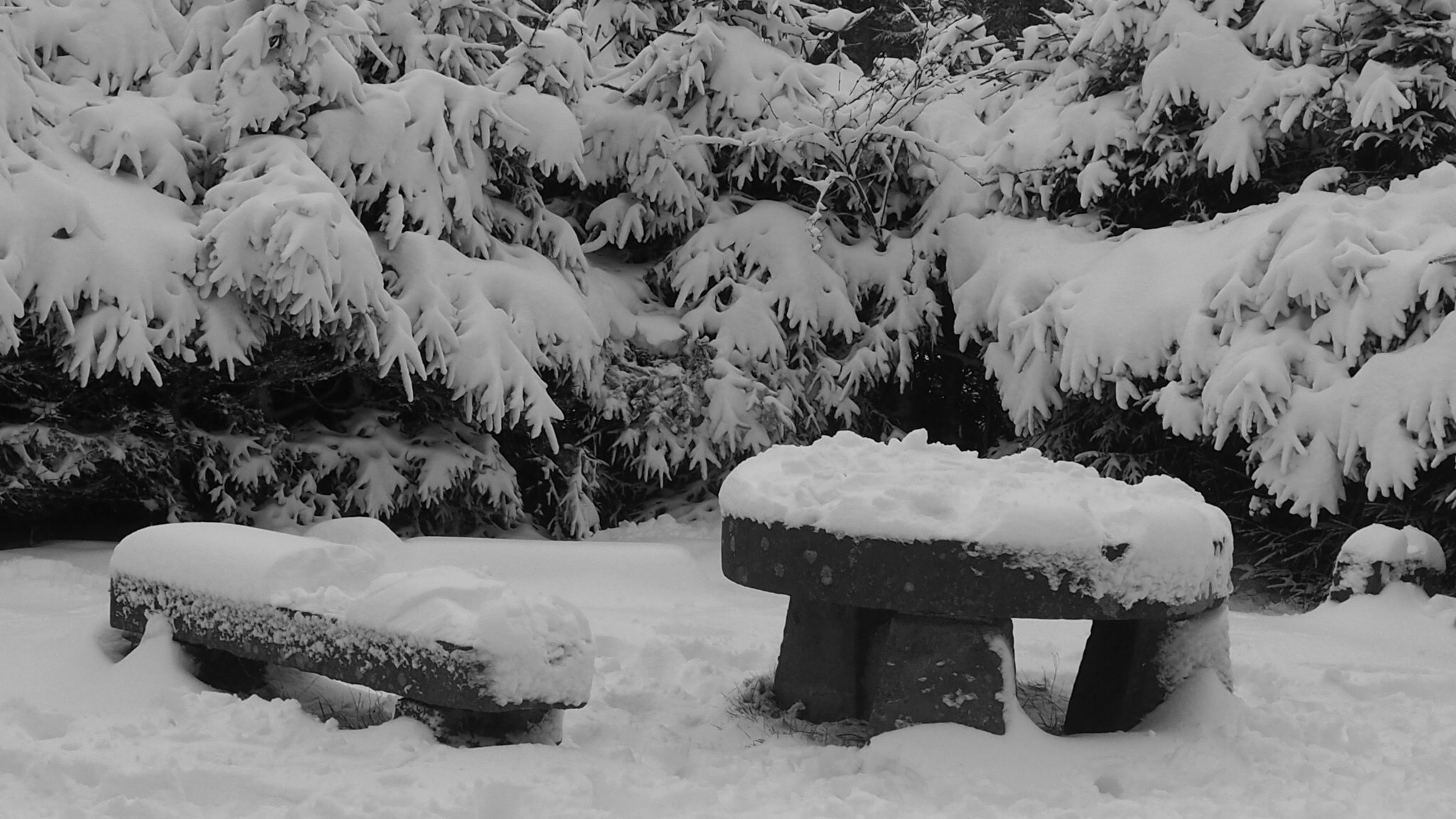 In winter
