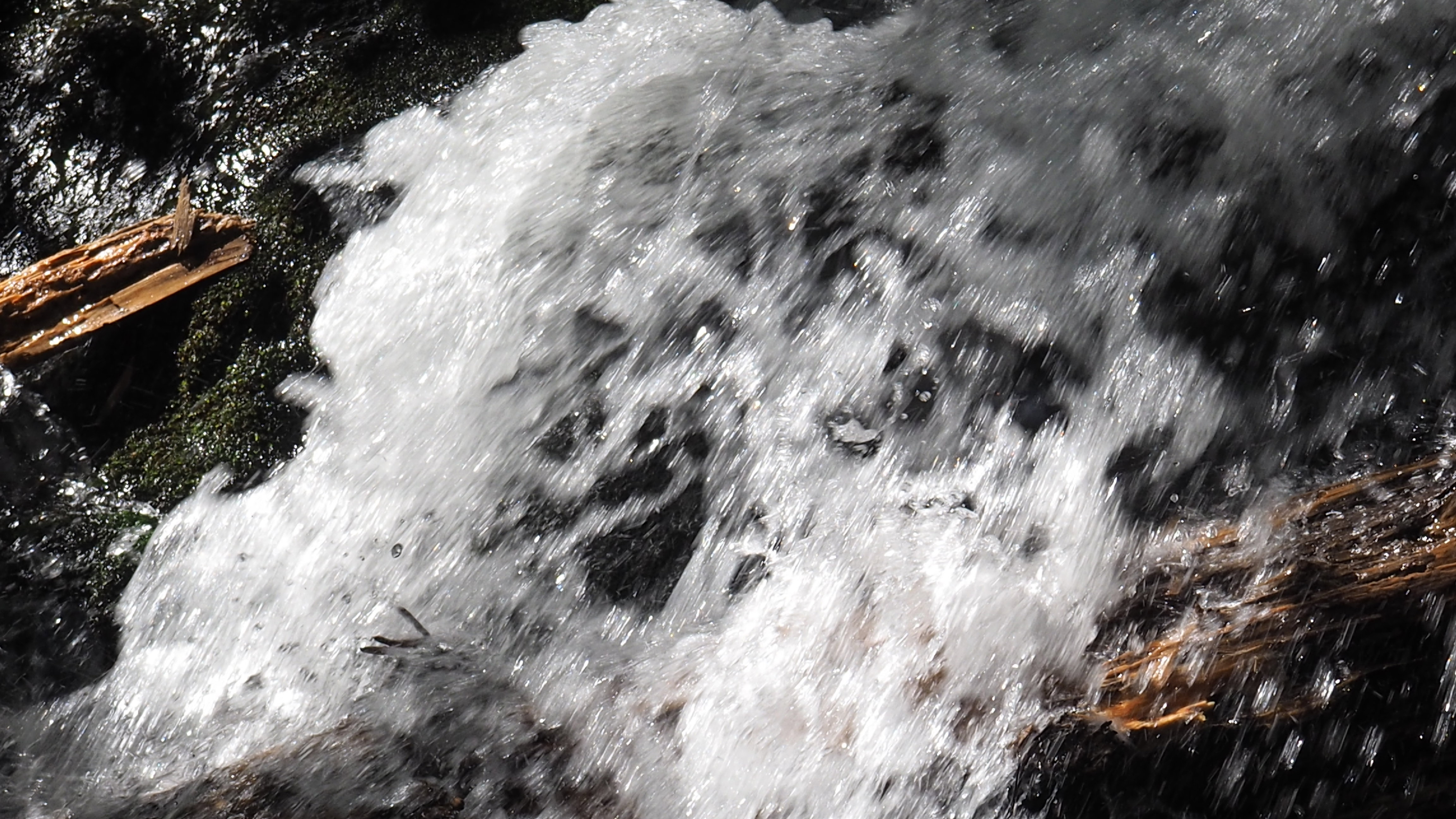 Water, source of life