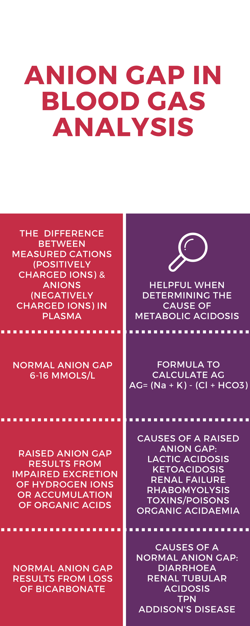 the-anion-gap-pem-infographics