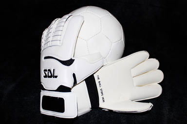 sdl goalkeeper gloves