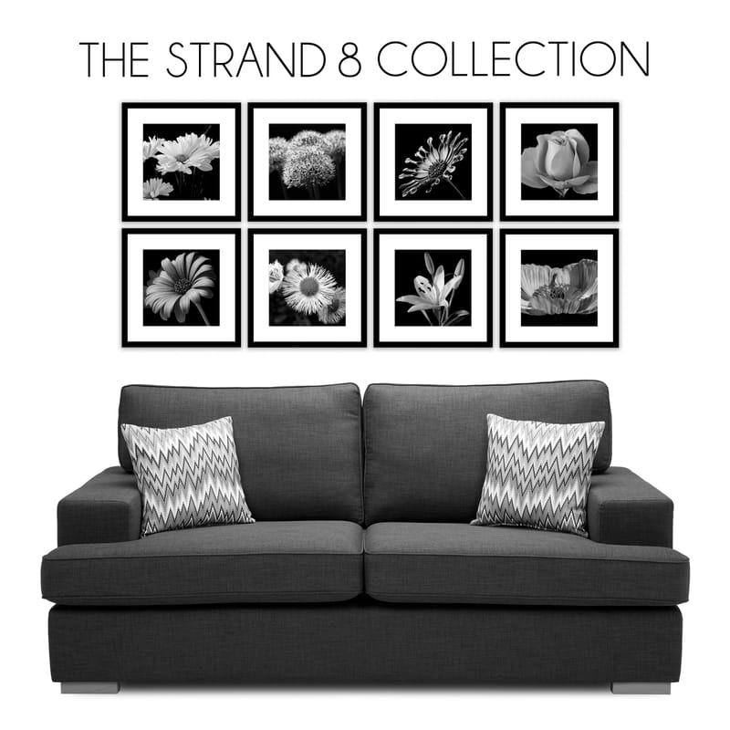 The Strand 8 Collection Picture Gallery Walls - Square Wall Frames The Strand 8 Collection Picture Gallery Walls - Square Wall Frames