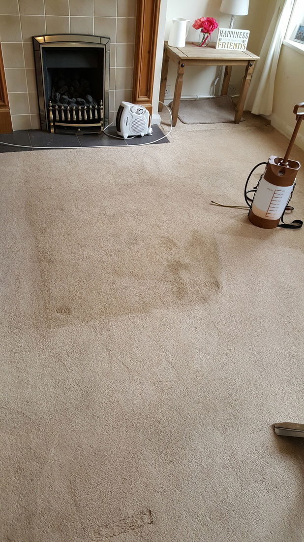 End of tenancy cleaning guildford