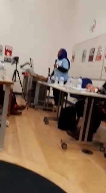 Dr Sara Abdelgalil at the conference on women and revolution 6 July 2019