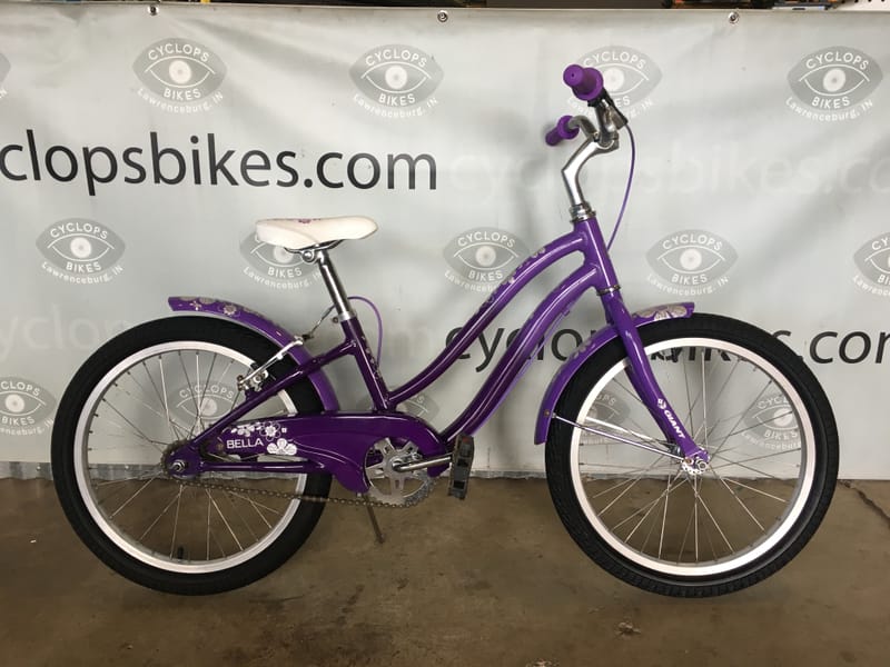 giant bella 20 inch bike