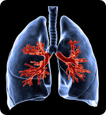 Respiratory